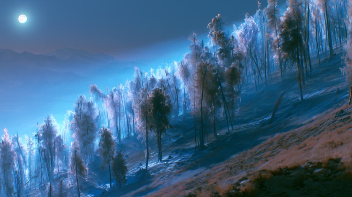 La forêt de mélèzes sous la pleine lune, vue large